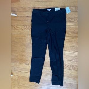Eliane Rose Dress Pants